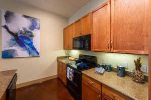 Two Bedroom Apartments for Rent in Houston, TX - Model Kitchen    